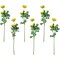 Northlight Real Touch&#x2122; Yellow Ranunculus Artificial Floral Sprays, Set of 6 - 21&#x22;